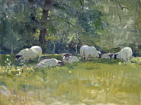 19 A shady spot Oil on board 9x12 inches