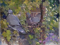 30 Pigeons on the vine Oil on board 9x12 inches