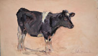 38 Woolly Black Calf Oil on board 7x12 inches